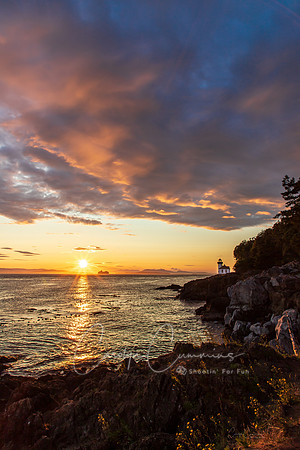 San Juan Island July 2019-3822