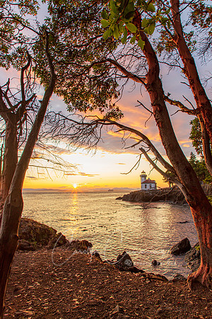 San Juan Island July 2019-3833