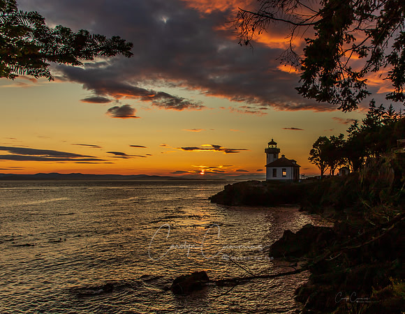 San Juan Island July 2019-3839