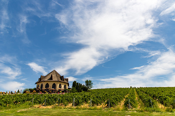 Ste. Chappelle Winery, Marsing ID Aug 2019-4723