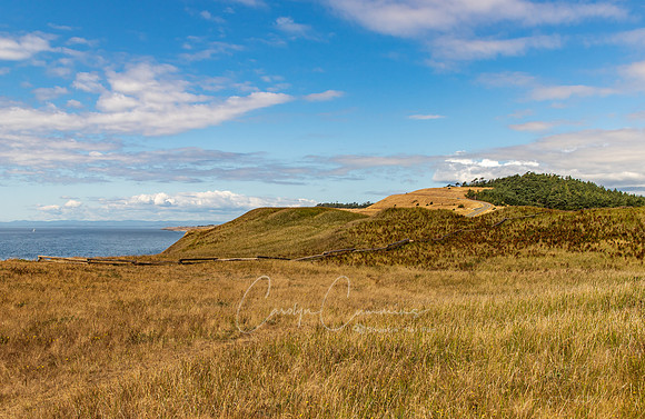 San Juan Island August 2019-5807