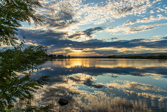 Boardman OR Sunset Aug 2019-6027