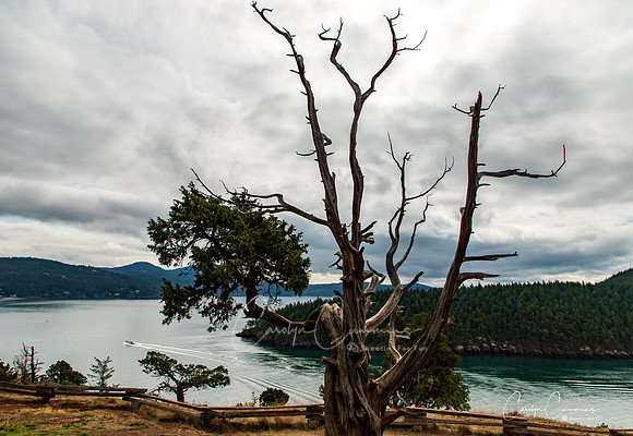 Washington Park Sept 2019-6609
