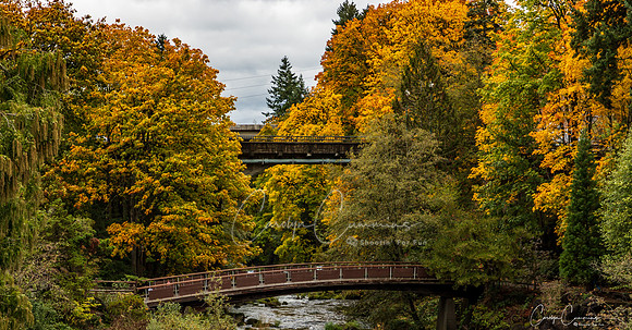 Tumwater Falls Olympia WA Oct 2019-7968