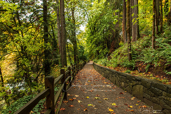 Tumwater Falls Olympia WA Oct 2019-8016