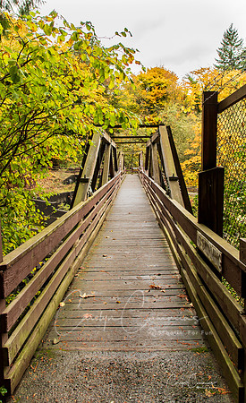 Tumwater Falls Olympia WA Oct 2019-8035