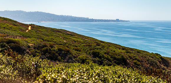 Torrey Pines State Park Oct 2019-6845