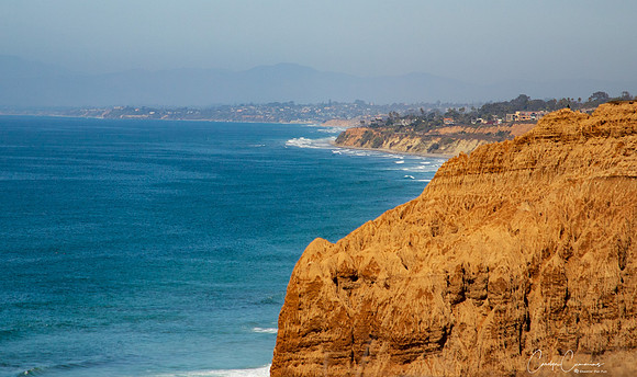 Torrey Pines State Park Oct 2019-6856