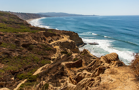 Torrey Pines State Park Oct 2019-6851