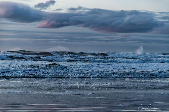Cape Disappointment State Park Dec 2019-0179