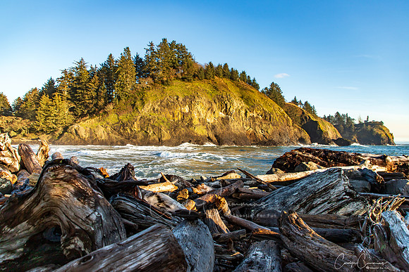 Cape Disappointment State Park Dec 2019-9732