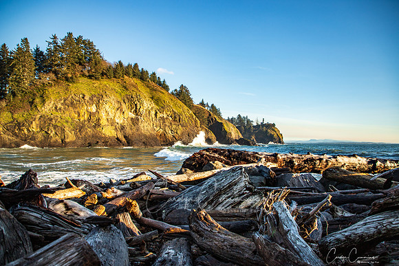 Cape Disappointment State Park Dec 2019-9737