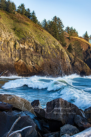 Cape Disappointment State Park Dec 2019-9874