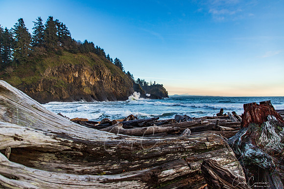 Cape Disappointment State Park Dec 2019-9995