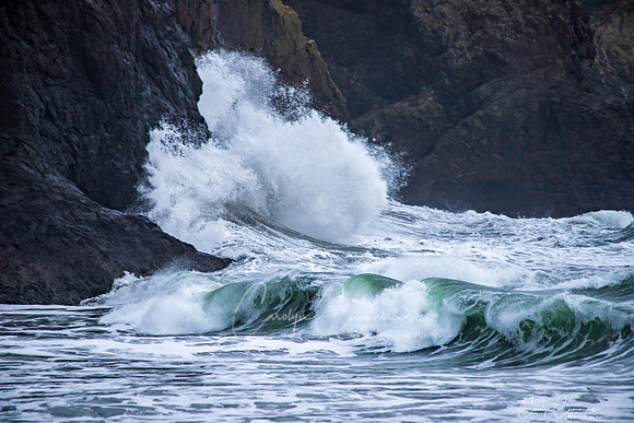 Cape Disappointment State Park Dec-0593