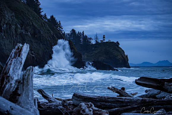 Cape Disappointment State Park Dec-0791