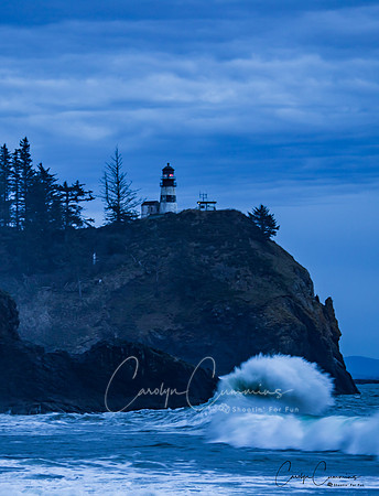 Cape Disappointment State Park Dec-0804