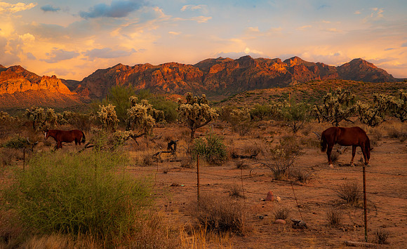 Tonto National Forest Oct 2023-6870
