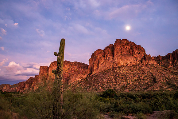 Tonto National Forest Oct 2023-6950