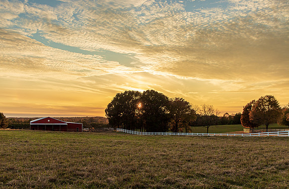 Tennessee-5542