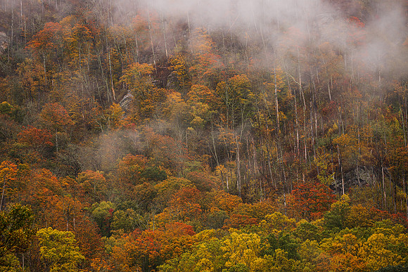 Tennessee-5284