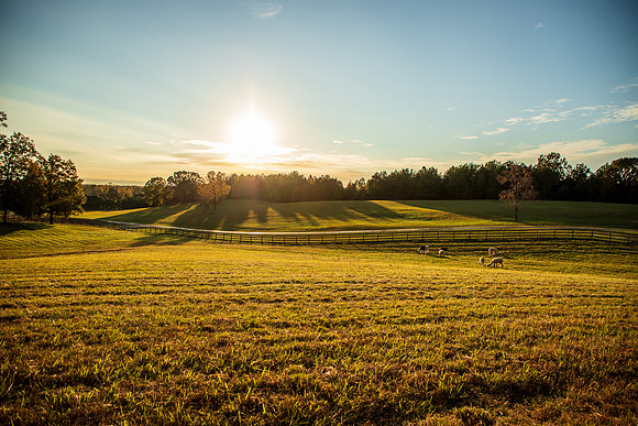 Tennessee-5417