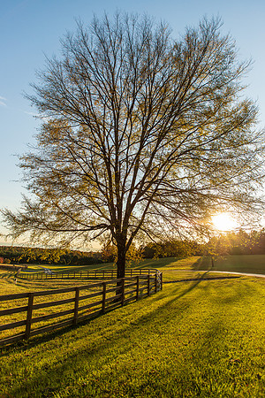 Tennessee-5433