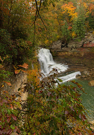 Tennessee-5291