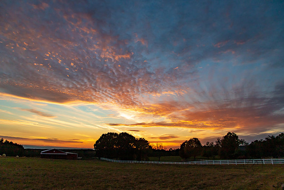 Tennessee-5548