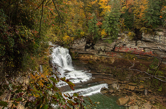 Tennessee-5296