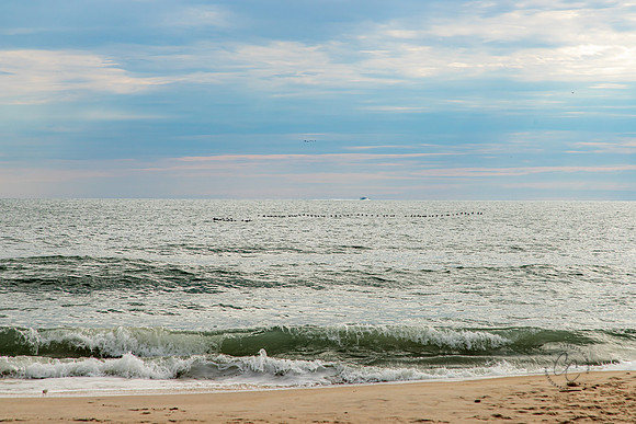 Maryland October 2021-4982