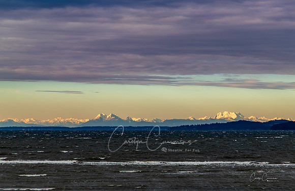 Samish Island March 2020-1151