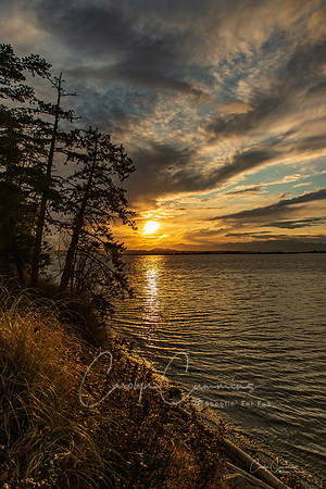 Samish Island March 2020-0917