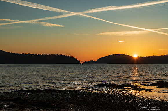 Kukutali Island Preserve Sunset March 2020-1642