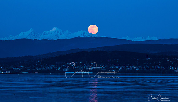Moonrise over Bellingham April 2020-1915