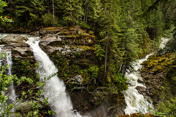 Nooksack Falls May 2020-4099