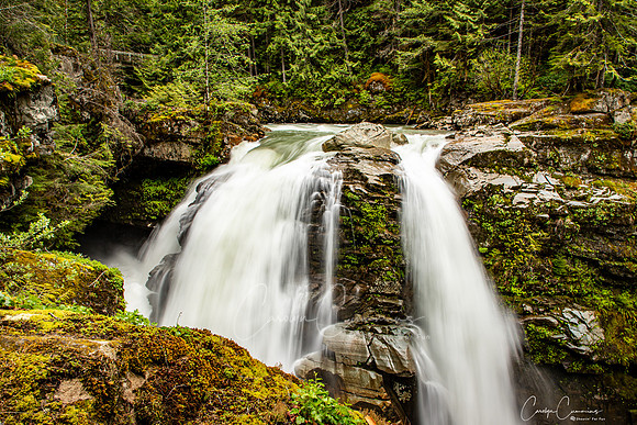 Nooksack Falls May 2020-4122