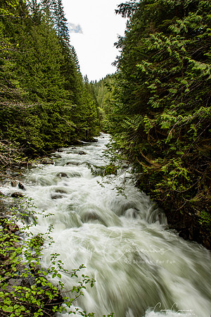 Nooksack Falls May 2020-4144