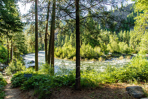 Icicle River Leavenworth WA June 2020-4921