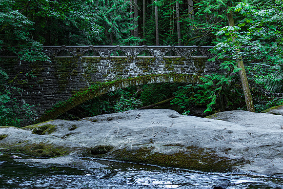 Whatcom Falls Park June 2020-4942