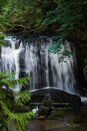 Whatcom Falls Park June 2020-4954