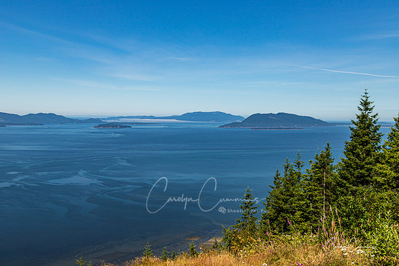 Samish Overlook July 2020-5838
