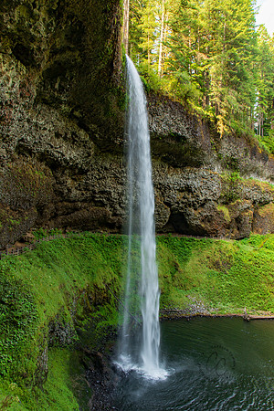 Silver Falls State Park July 2020-6037
