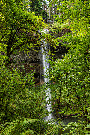 Silver Falls State Park July 2020-6085
