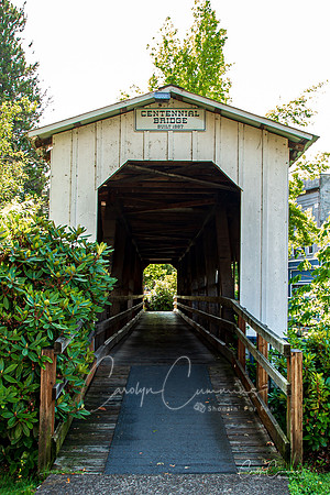 Cottage Grove OR Covered Bridge July 2020-6123