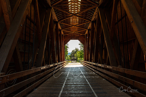 Cottage Grove OR Covered Bridge July 2020-6161