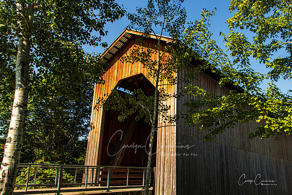 Cottage Grove OR Covered Bridge July 2020-6165