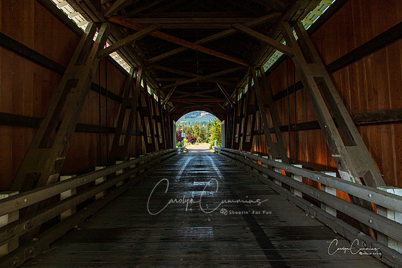 Cottage Grove OR Covered Bridge July 2020-6179