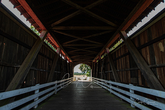 Cottage Grove OR Covered Bridge July 2020-6196