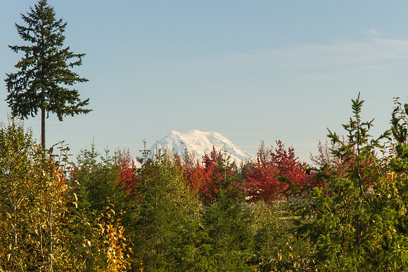 Mt. Rainier 6033-2